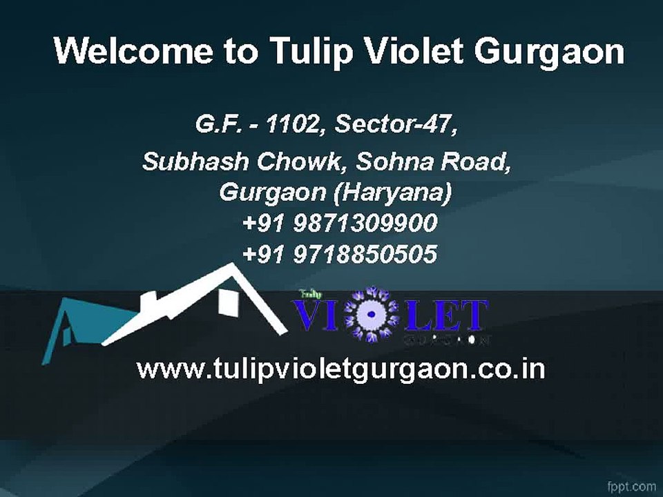 Tulip Violet In Gurgaon v
