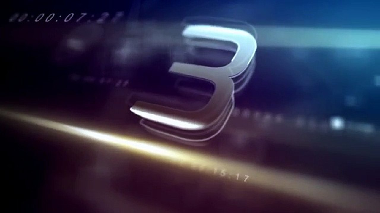 Best dog anxiety vests for calming dogs