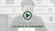 Amine Harit : 