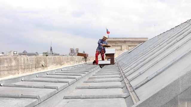 Des ruches sur le toit de la Monnaie de Paris !