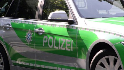 Syrian suicide bomber in Germany 'pledged allegiance' to IS