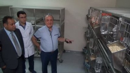 Gaziantep Kapatılan Üniversitedeki Deney Hayvanları Gaziantep Üniversitesi'ne Taşındı