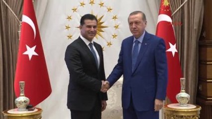 Erdoğan, KKTC Başbakanı Özgürgün'ü Kabul Etti