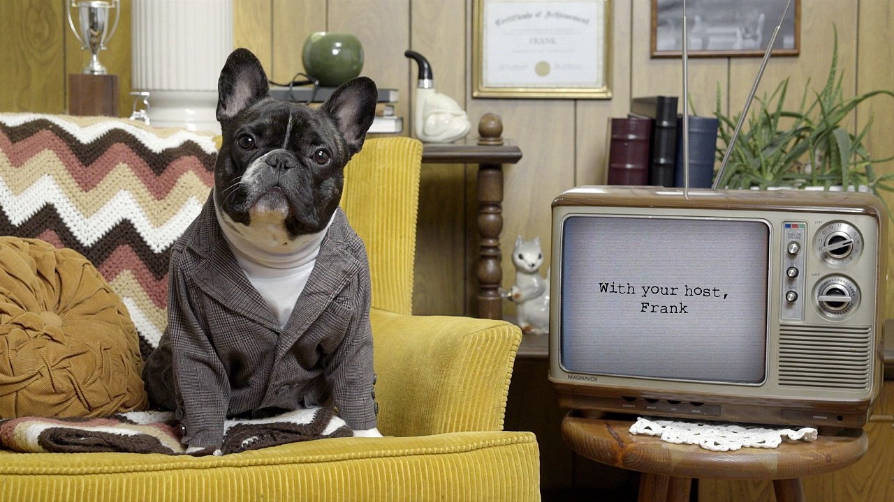 Humans Run Fast - #004 Myth Sniffers: Debunking Human Myths