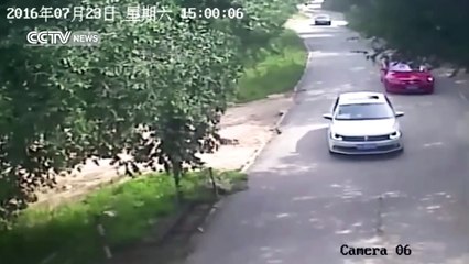 Footage shows shocking tiger attack in Beijing's wildlife park_(1280x720)