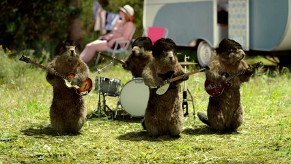 Bel été avec les Marmottes Sixties