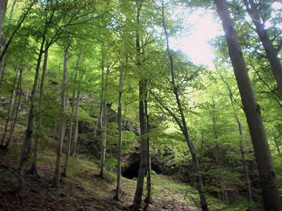 Irigy Hónaljmirigy & Varga Viktor - Ha neked zöld az ég