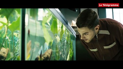 La chanson de l'éléphant - Bande annonce