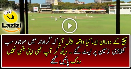 See What happened During New Zealand and Zimbabwe Match