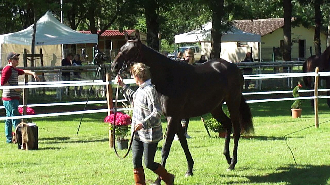 Eau gazeuse concours 2 ans AQPSM4H02036