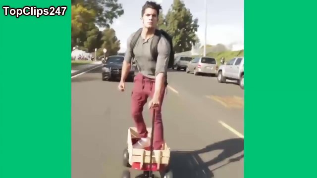 Aaron s Animals VINES Compilation - Best Videos Funny Animal Videos 2016 - Funny Pets