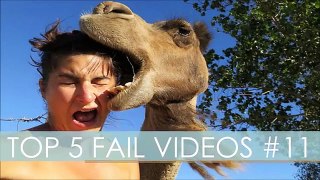 TOP 5 FAIL VIDEOS #11