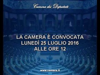 Roma - Camera - 17^ Legislatura - 661^ seduta -1- (25..07.16)