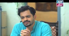 Manzil Kahe Nahi - Ep - 135 on Ary Zindagi in High Quality 26th July 2016