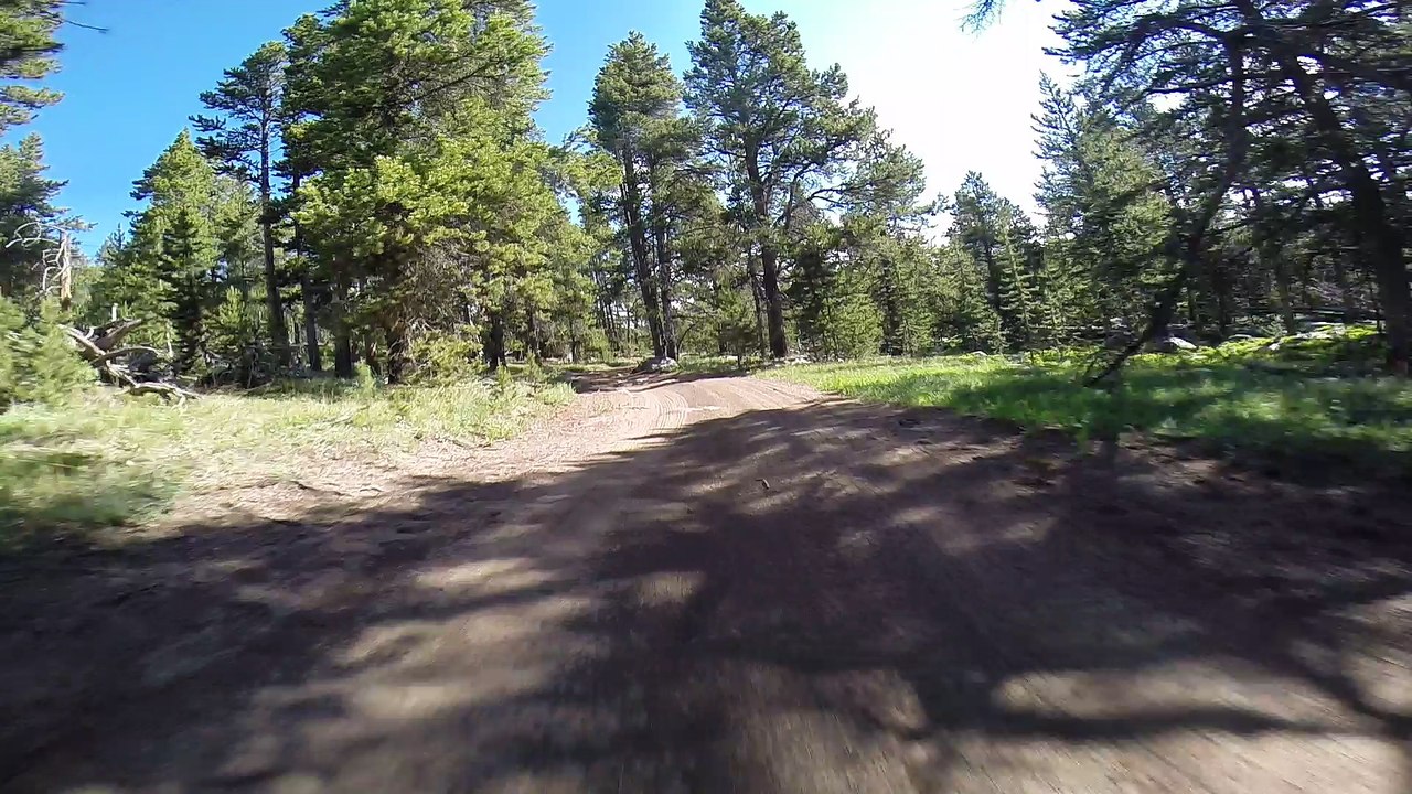 BigHorn2