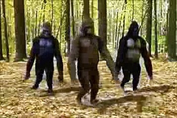 whatsapp funny videos monkey dance