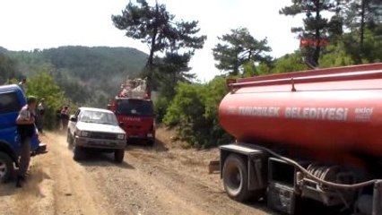 Kütahya - Tunçbilek'te Orman Yangını