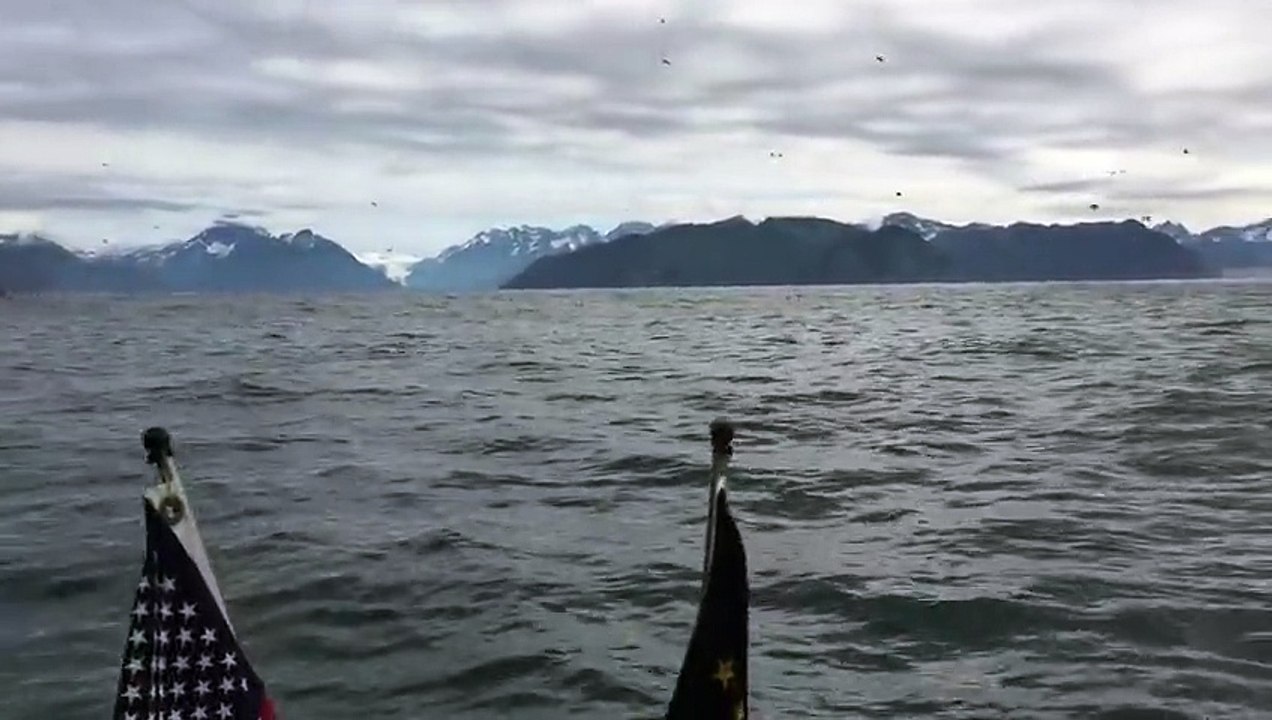 Au beau milieu de la mer, deux pêcheurs entendent un grondement bizarre. Ce qu'ils voient va en choquer plus d'un !