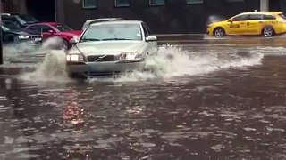 Cet automobiliste sort de sa voiture pour sauver un chaton coincé dans une inondation !