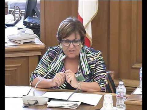 Roma - Piattaforme digitali, audizioni rappresentanti Agenzia delle entrate (26.07.16)