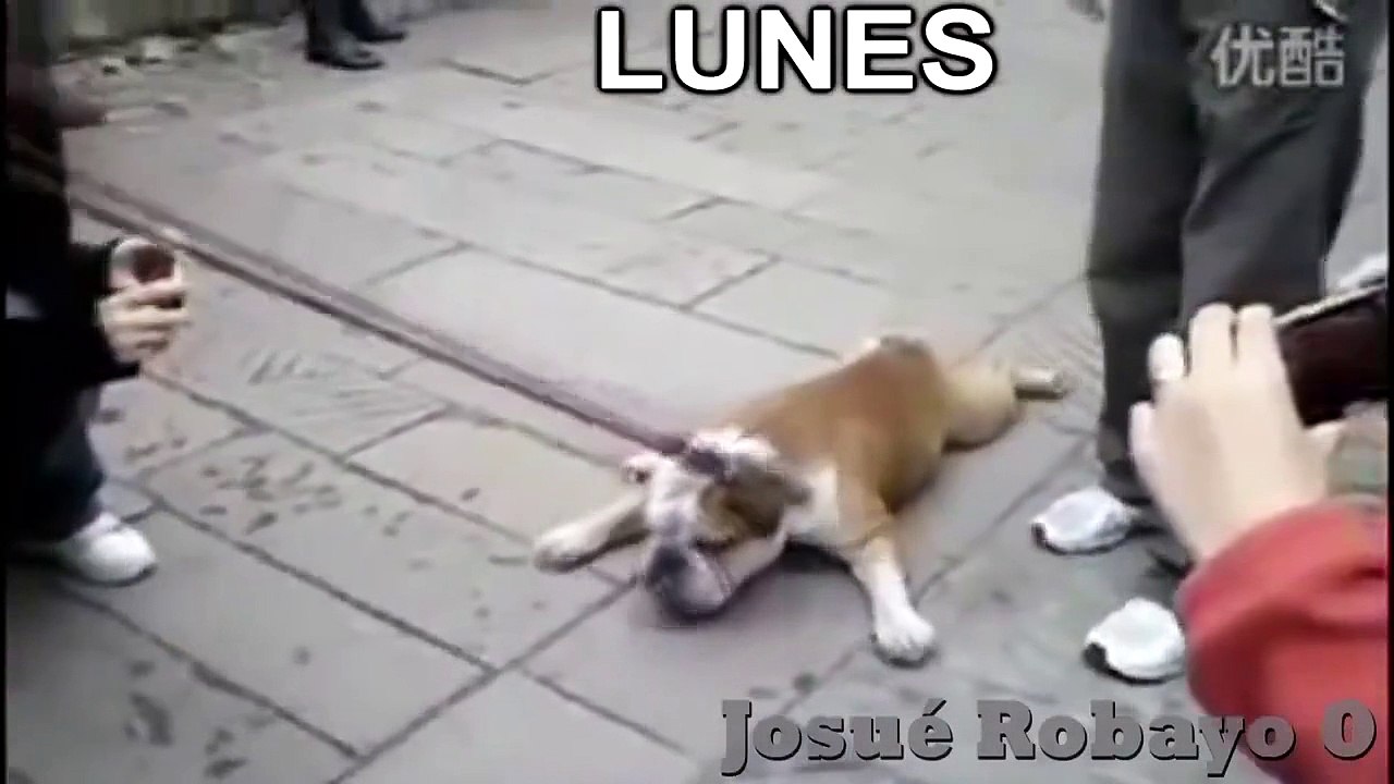 Jueves c