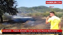 Çanakkale - Makilik Alandaki Yangın Az Daha Meyve Bahçelerini de Yakacaktı