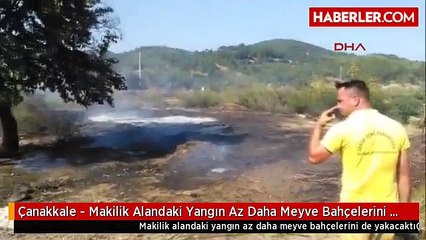 Çanakkale - Makilik Alandaki Yangın Az Daha Meyve Bahçelerini de Yakacaktı