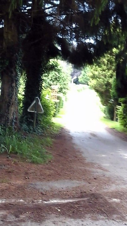 CARAVANE 27 JUIN 2016 SAMI FAIT LA COURSE AVEC LES COPAINS