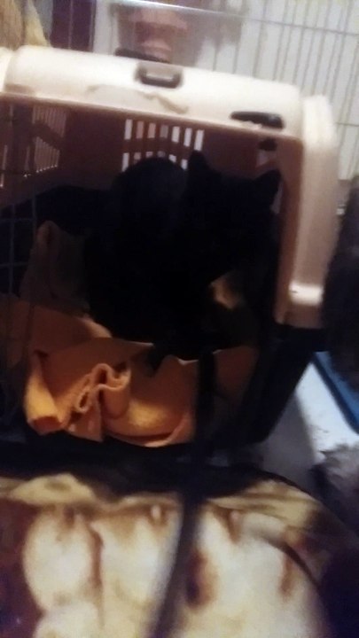 Lana joue dans sa caisse