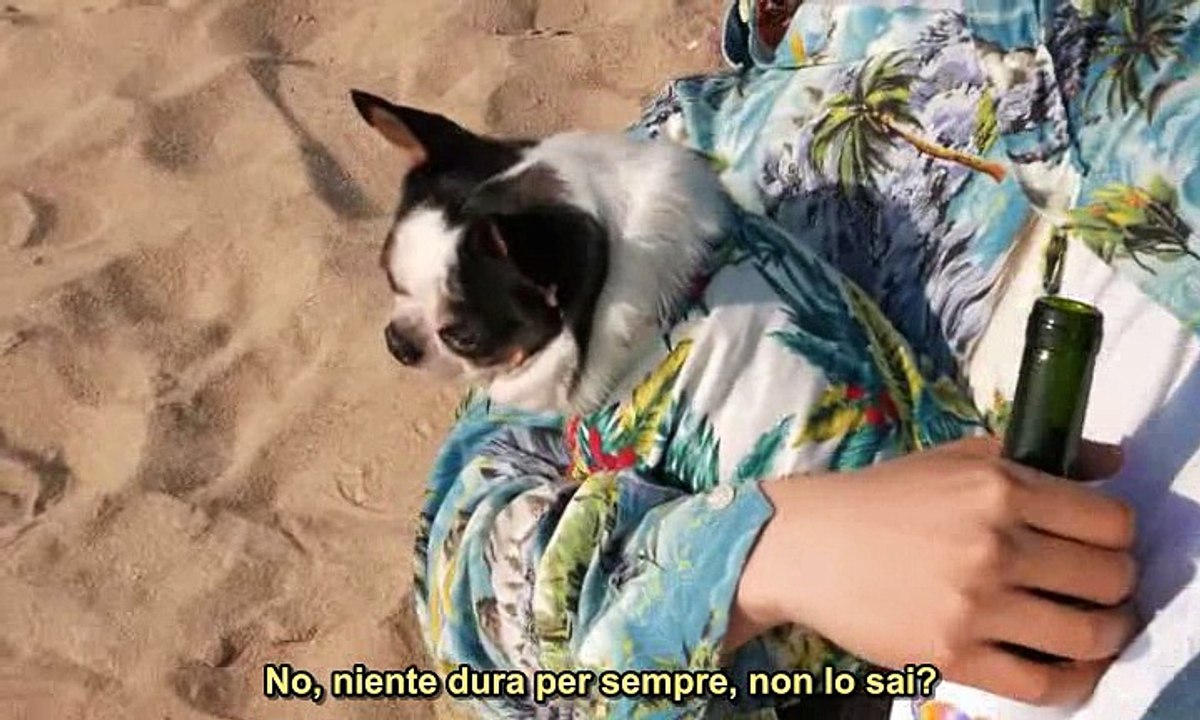 moltomoltolontano