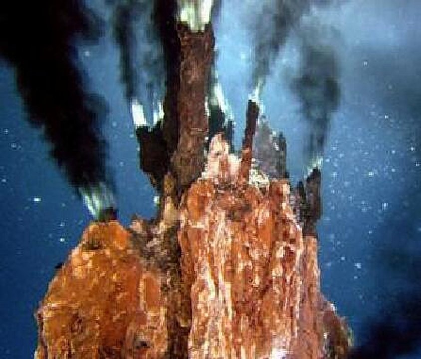 Last Universal Common Ancestor Study