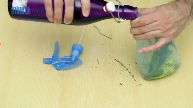 Vie Pratique : DIY : fabriquer des produits nettoyants écologiques tout usage