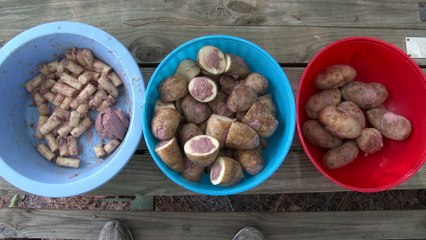 Do Big Cats Like Potatoes?