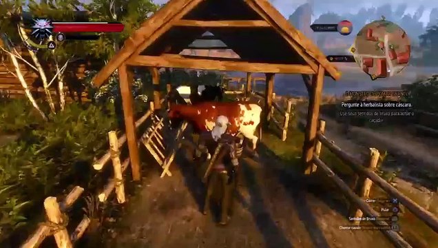 Apenas um Gamer : The Witcher 4 : Wild Hunt : Esperando pelo Witcher 3! (6)