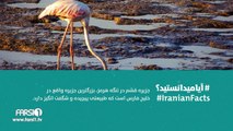 FARSI1 - Iranian Facts 19 / فارسی1 - آیا میدانستید؟ - شماره نوزدهم