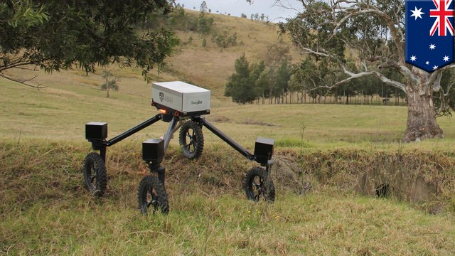 SwagBot: Australia develops cattle-herding robots that may replace farmers - TomoNews