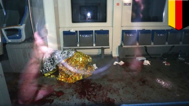 Afghan refugee, 17, attacks passengers with ax and knife on German train, injures 4