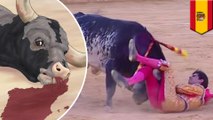 Bullfighter killed: Mother of bull destined to die per tradition, animal lovers outraged - TomoNews