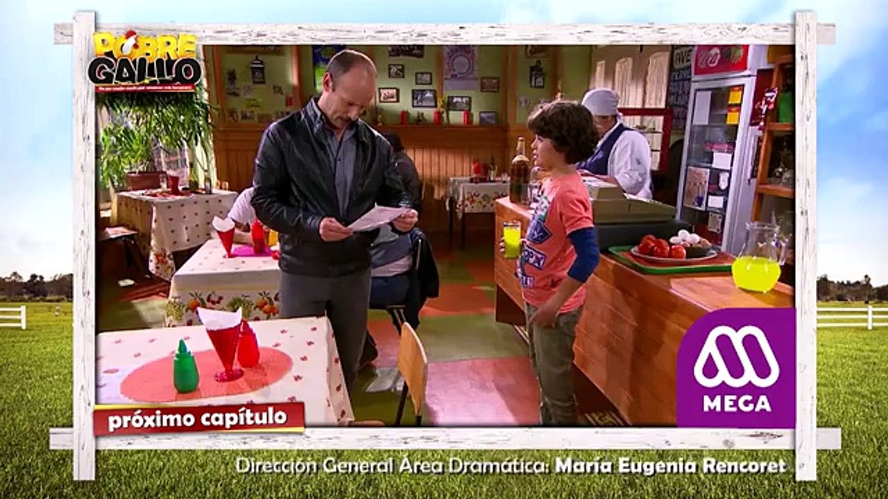 142 Avance Pobre Gallo