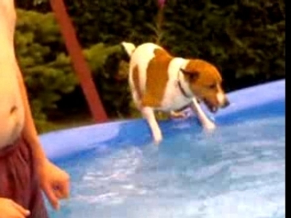 hubert piscine