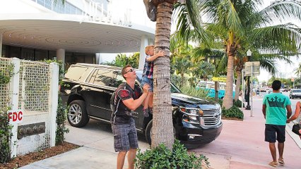 Раз Кокос, Два Кокос