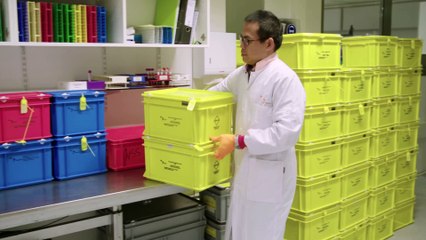 Où va le sang que vous donnez et comment est-il distribué ?