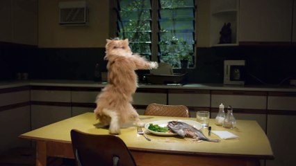 Mountain Dew : Kickstart - Freak Chain (REVERSE)