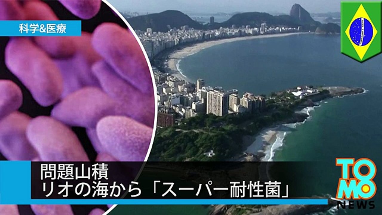 問題山積のリオ五輪　 海から「スーパー耐性菌」検出
