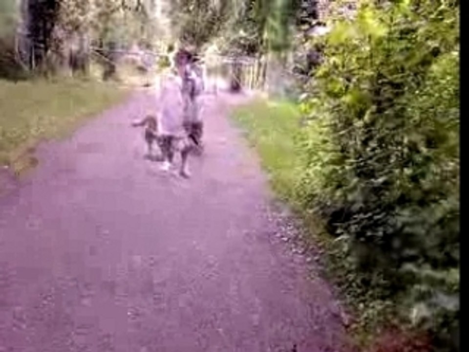 Video-0004 (1)