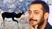 Salman Khan TROLLED By Fans For Blackbuck Case