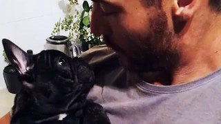 French Bulldog puppy discovers whistling sound