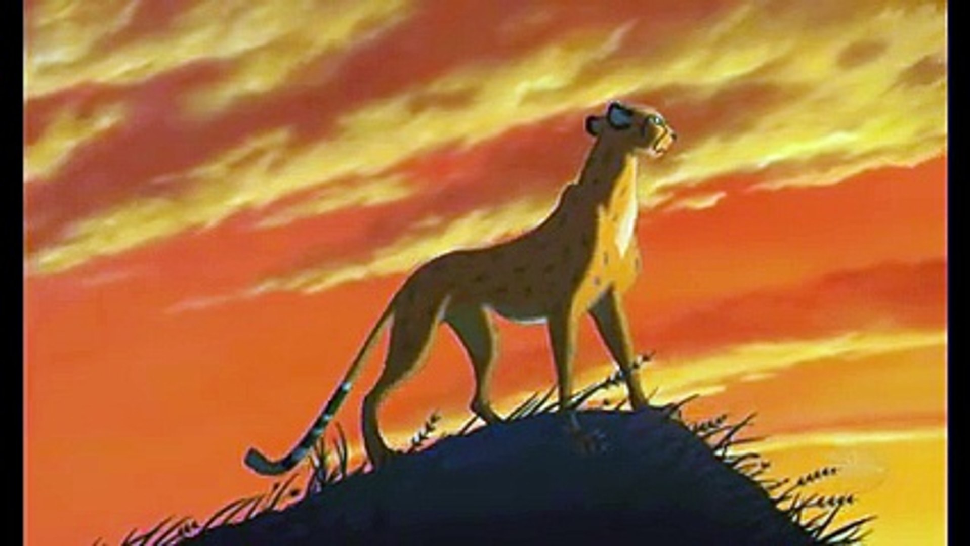 ⁣The Lion King Tribute Video (Music Video With Spirit theme) - YouTube