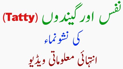 Nafs Or Balls (Tatty) Ki Nashonuma - Malumati Video