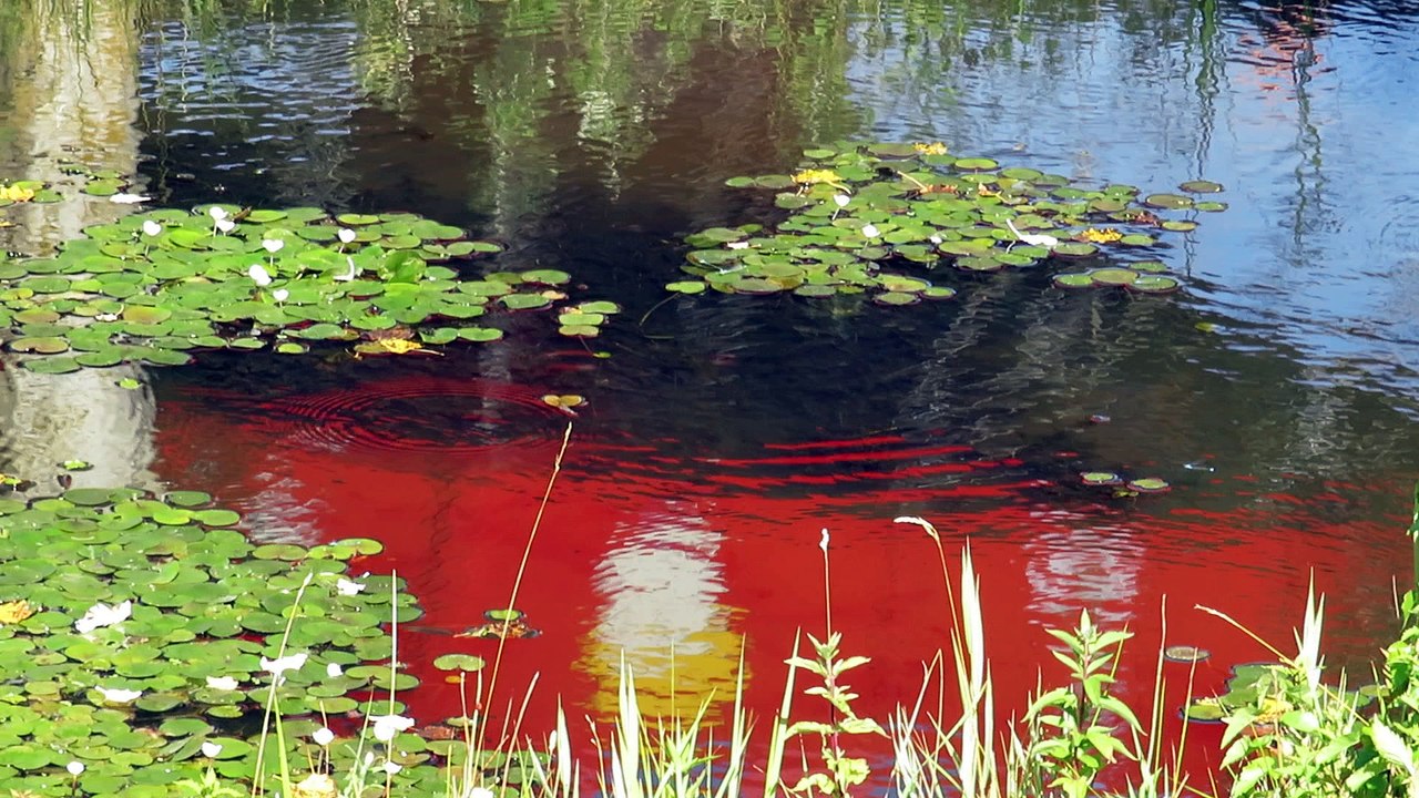 manège sièges volants dans l'eau